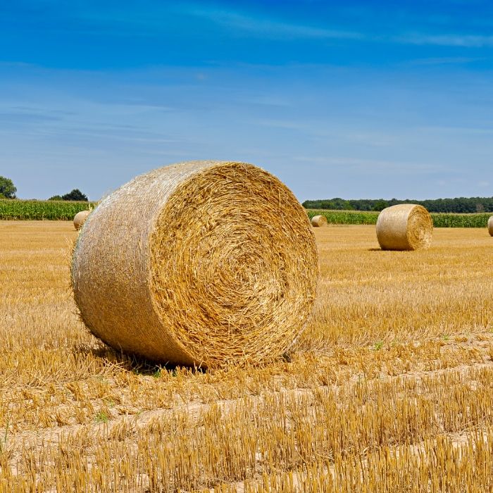 Heuballen - Pressen von Stroh, Heu und Silage